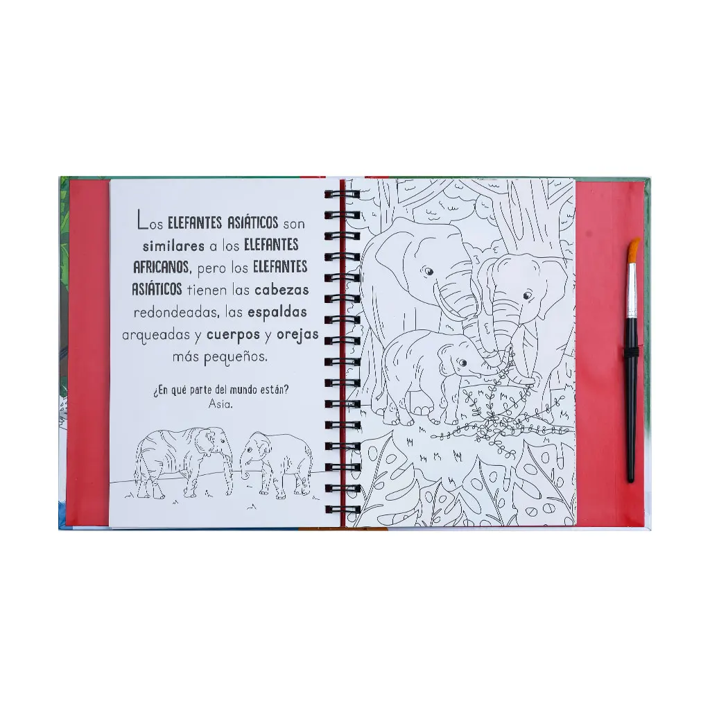 Imagen del producto 3